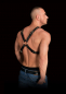 Preview: Adonis Chest Harness