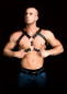 Preview: Andreas Chest Harness