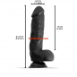 Preview: Rude Rider Ultra Realistic Dildo Regular Dude Adam, black