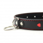 Preview: Collar and Leash with heart