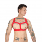 Preview: Elastic Chest Harness, red