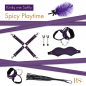 Preview: Kinky Me Softly - professional BDSM Set, purple