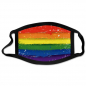 Preview: Pride Reusable Facemask - Rough Design