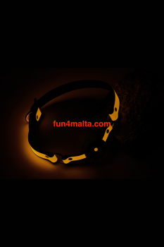 Radiant Glow in the Dark Ball Gag, orange