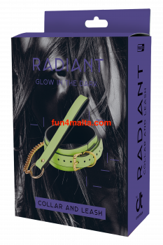 Radiant Glow in the Dark  Collar & Lesh