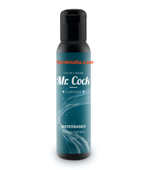 Mr. Cock The Wet Dream waterbased lube   100 ml.