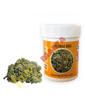 CBD Flowers Orange Bud