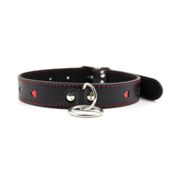 Collar and Leash with heart