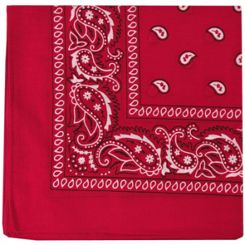 Red Bandana / Hanky