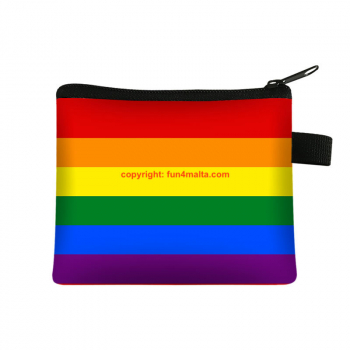 Rainbow Purse / small bag with zip