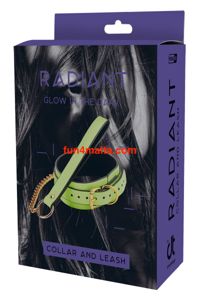 Radiant Glow in the Dark  Collar & Lesh