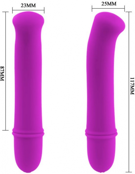 Pretty Love Antony 10 Function Vibrator,purple