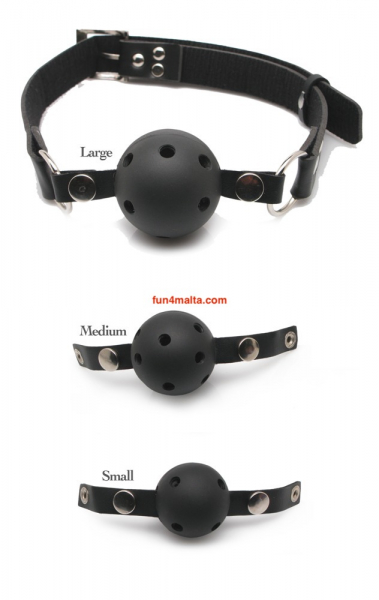 Fetish Fantasy Series: Ball Gag Training System