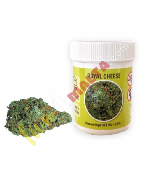 CBD Flowers Royal Cheese