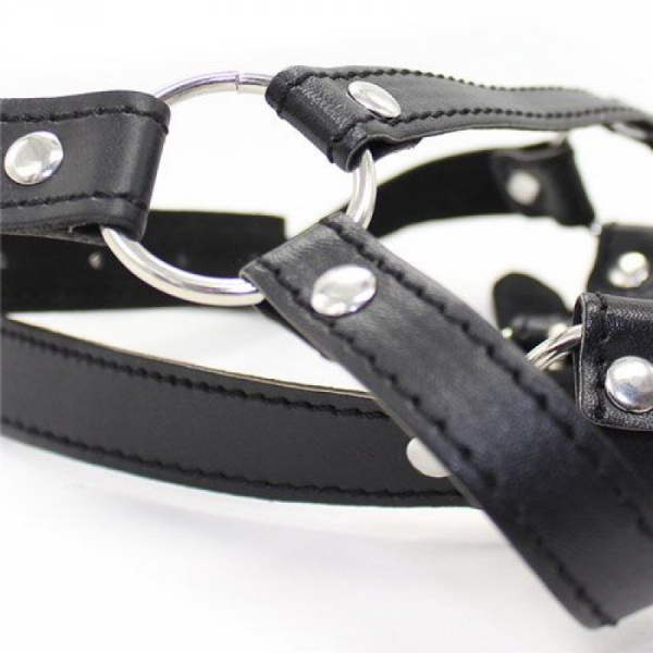 Head Harness+Ring Gag