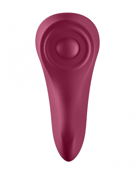 Satisfyer Sexy Secret Panty Vibrator