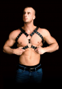Andreas Chest Harness