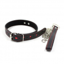 Collar and Leash with heart